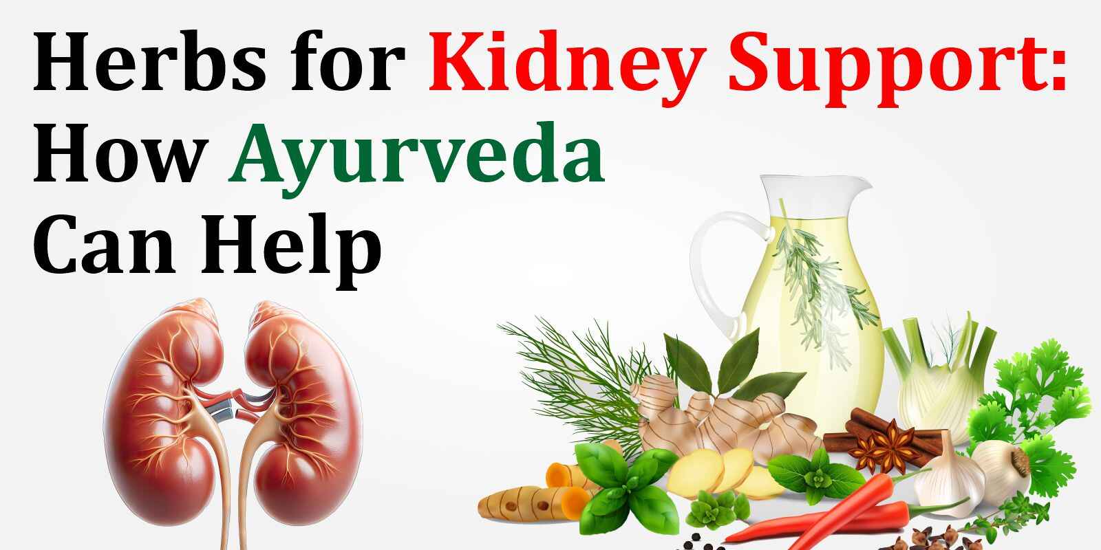 Herbs for Kidney Support: How Ayurveda Can Help